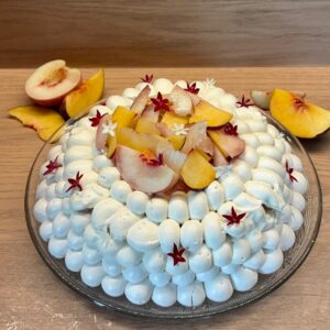 Pavlova pêche